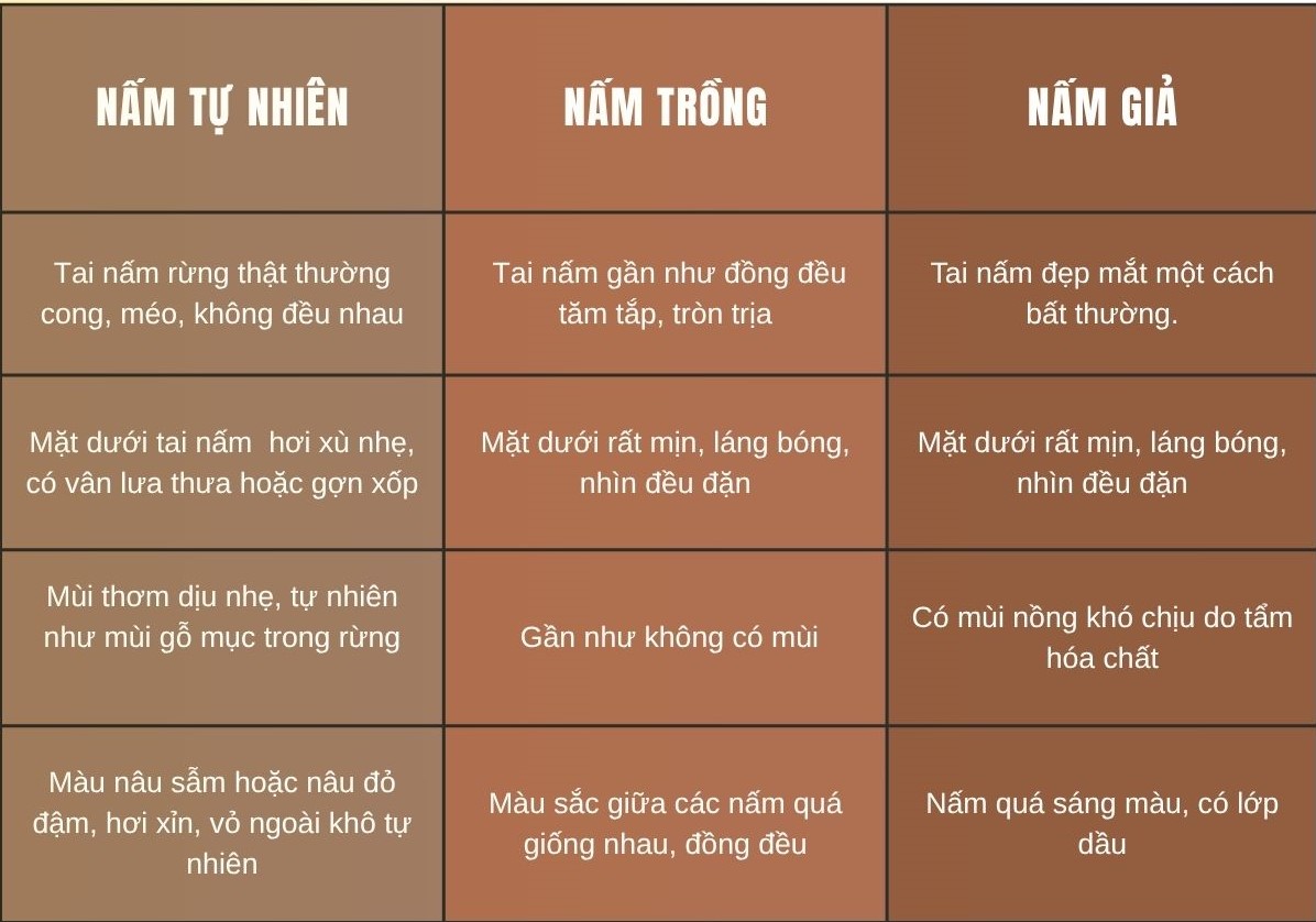 nấm lim xanh bán ở đâu